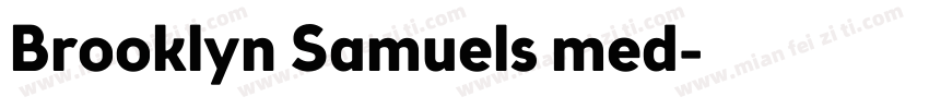 Brooklyn Samuels med字体转换